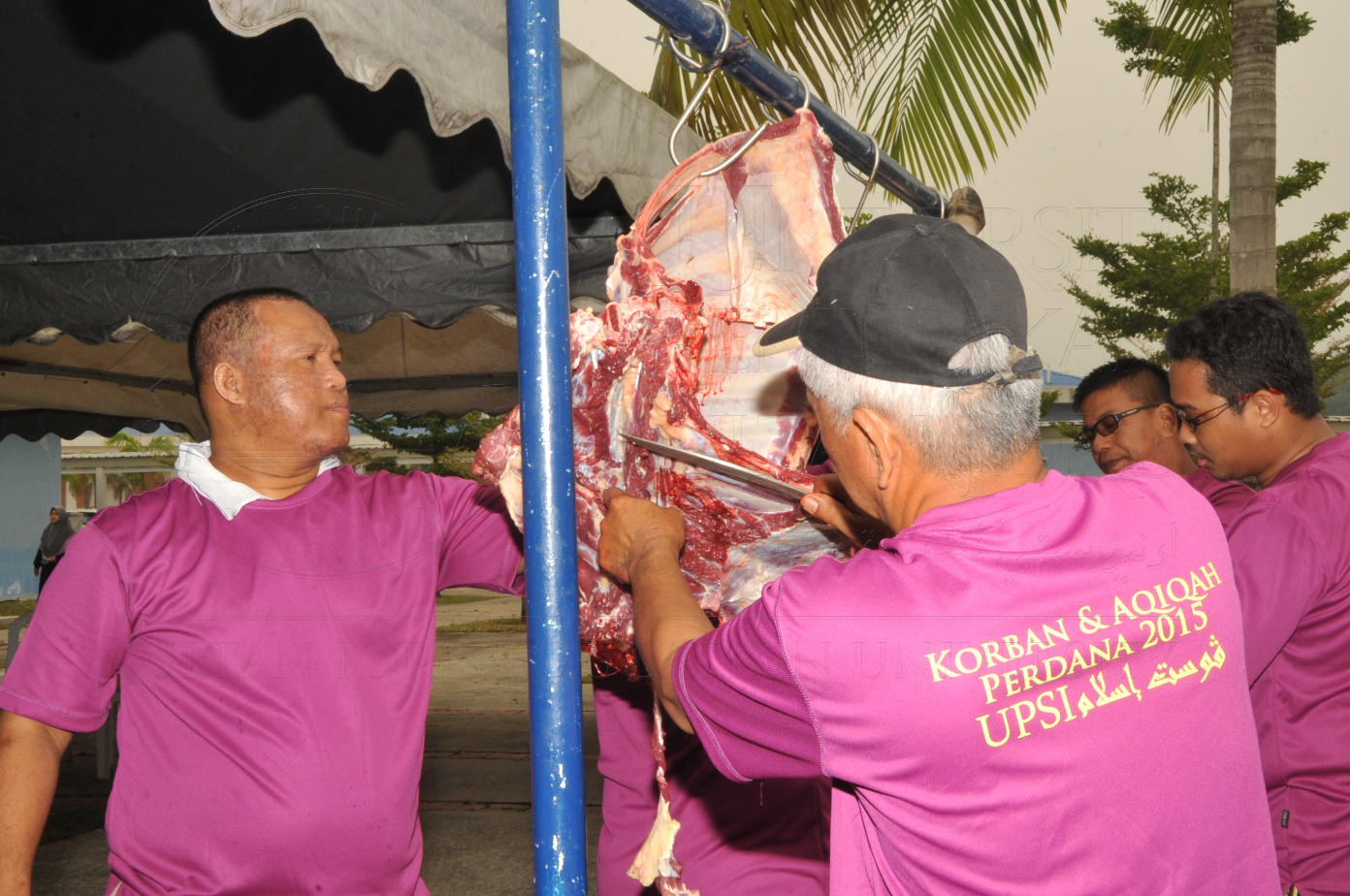 PRO15 150 KORBAN HAS 6910